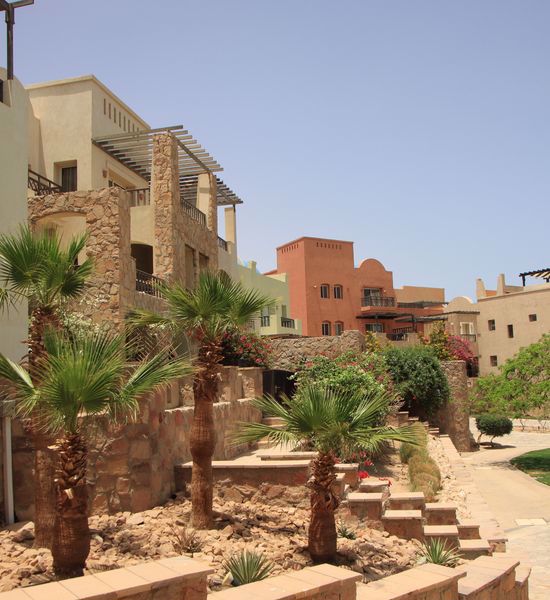 International Architects